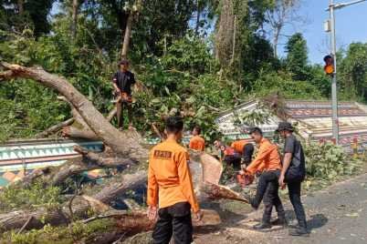 berita-1745648301-20250426.jpeg