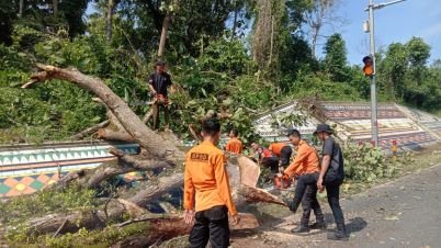 berita-1745648301-20250426.jpeg