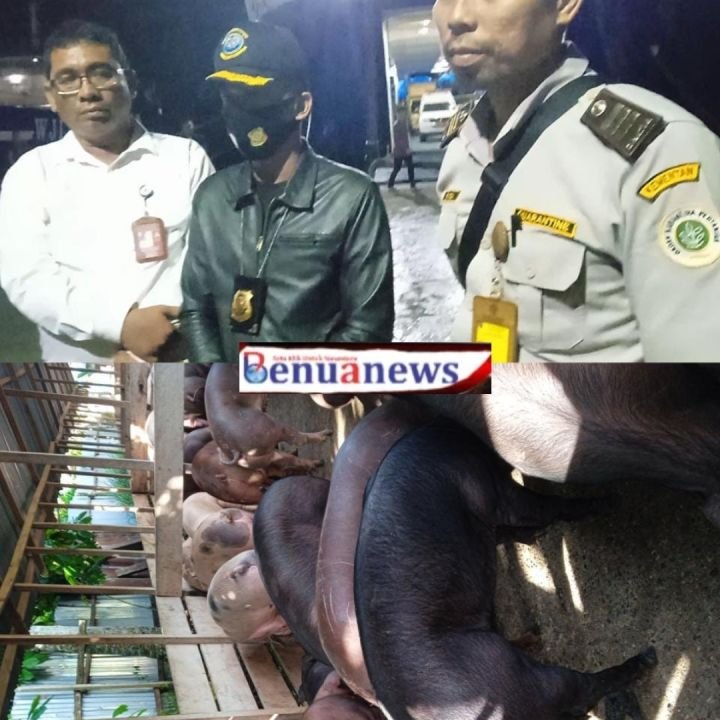 photoCollageMaker_20220615_102715541.jpg